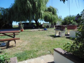DSC00884 (1)